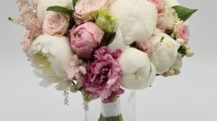 Bujori albi si roz (4)