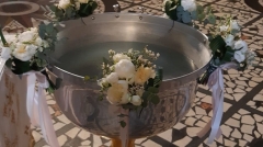 Cristelnita bujori albi (4)