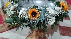 Cristelnita floarea soarelui (3)